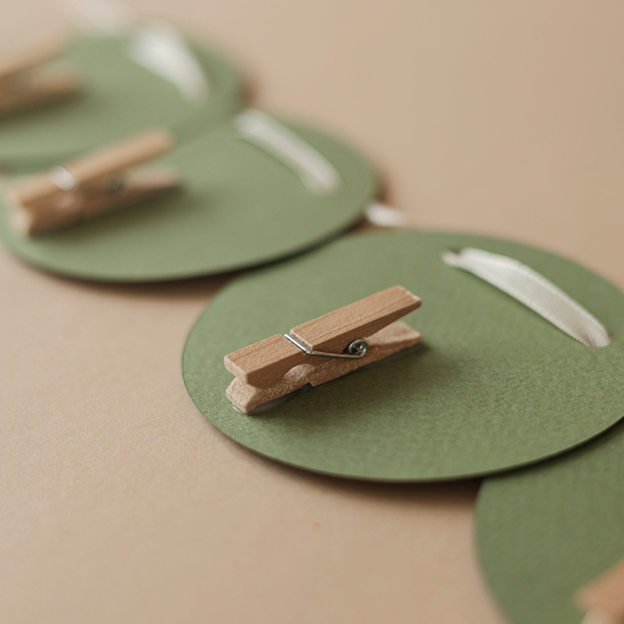 Safari Jungle First Birthday Monthly Photo Banner - Wild One 12 Month Garland