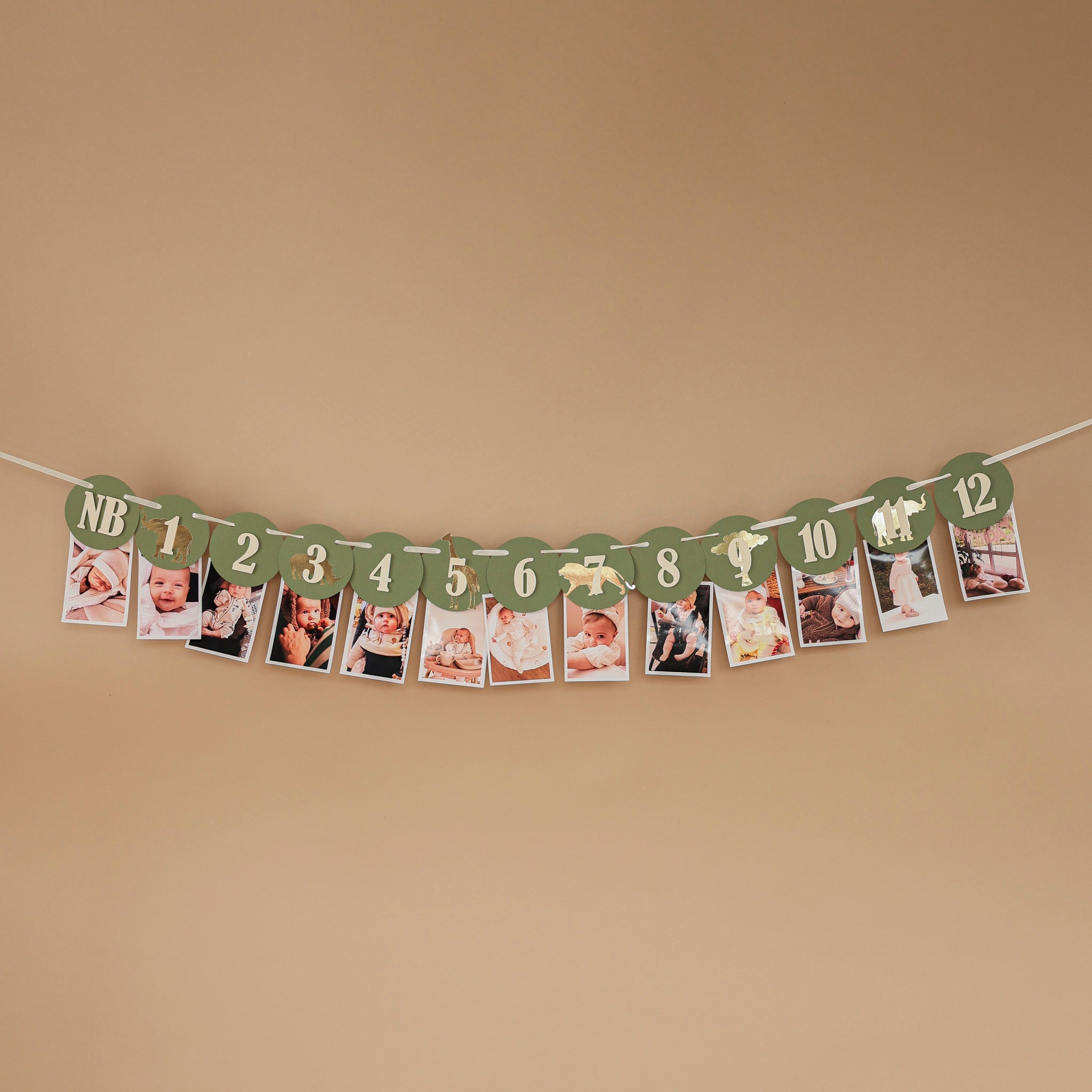 Safari Jungle First Birthday Monthly Photo Banner - Wild One 12 Month Garland