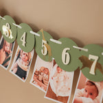 Safari Jungle First Birthday Monthly Photo Banner - Wild One 12 Month Garland
