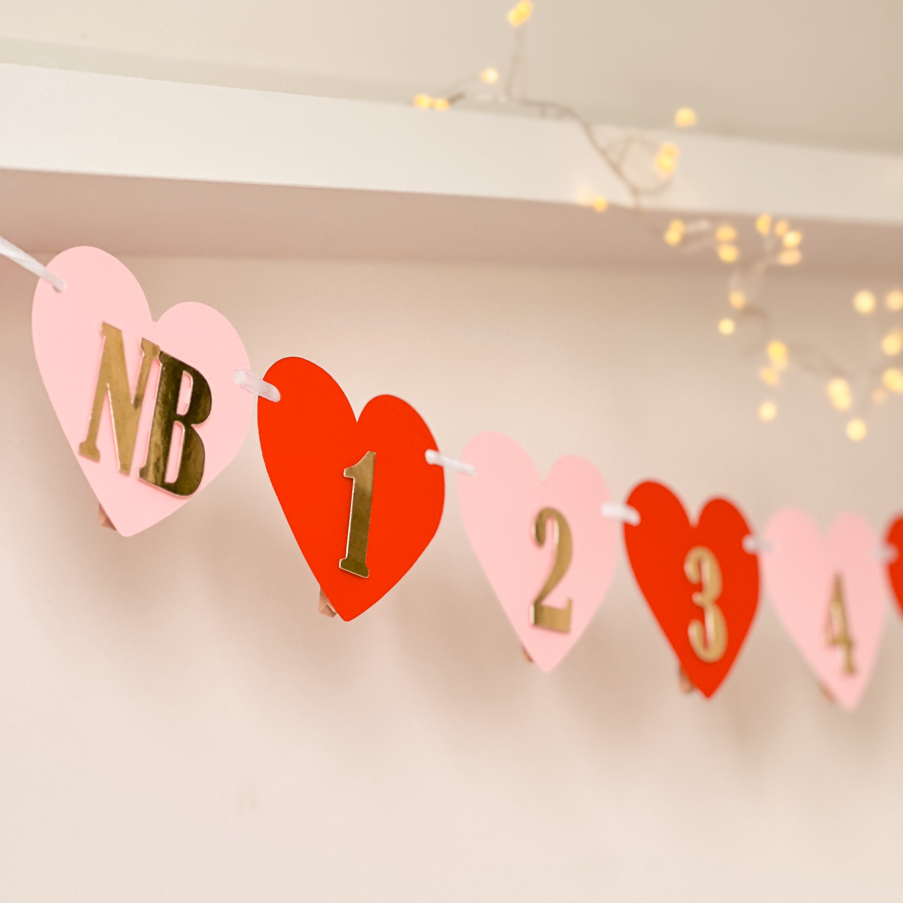 Sweetheart 12 Month Photo Banner Valentines Themed First Birthday Decorations Little Sweetheart 1st Birthday Monthly Banner