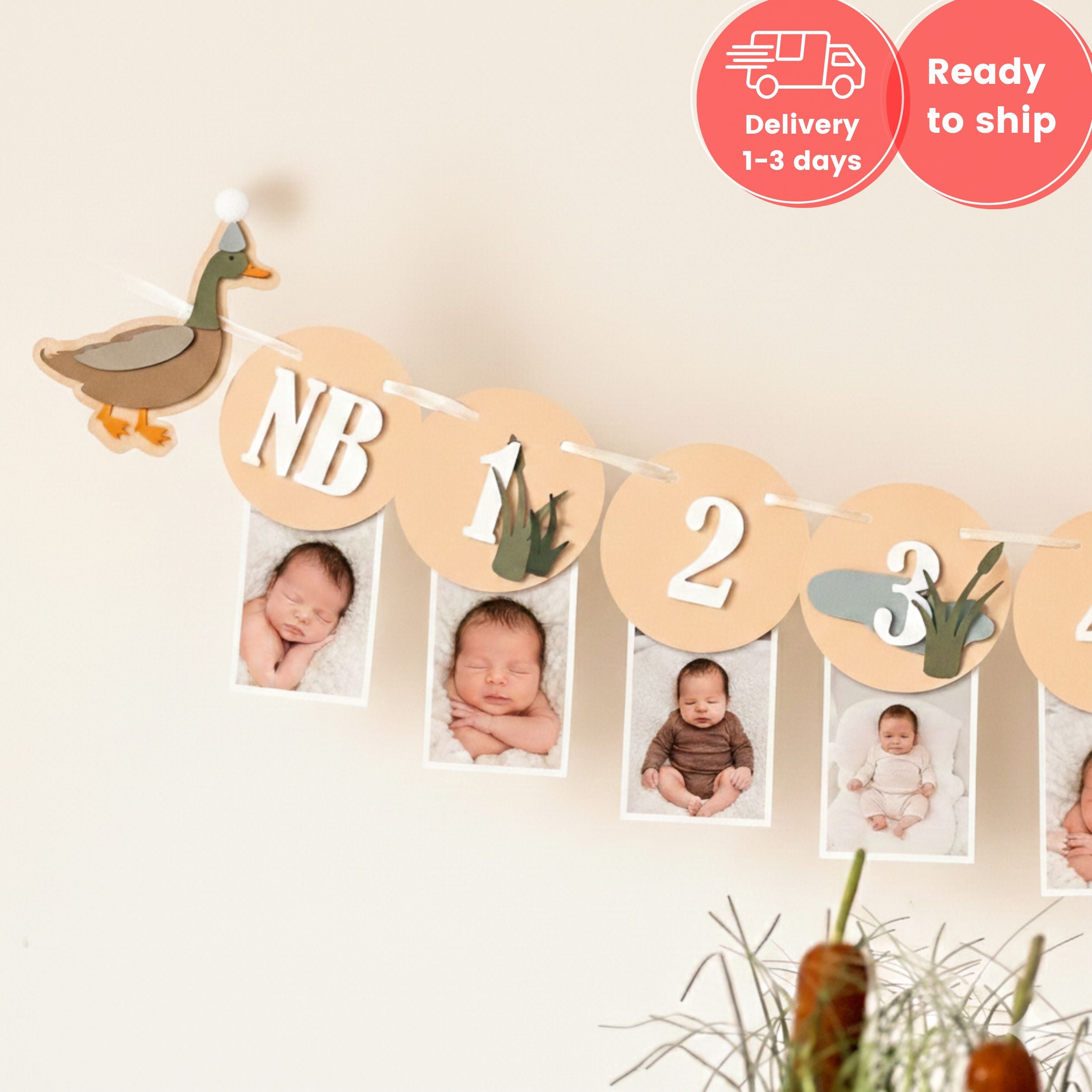 Duck 12 Month Photo Banner-Ready To Ship