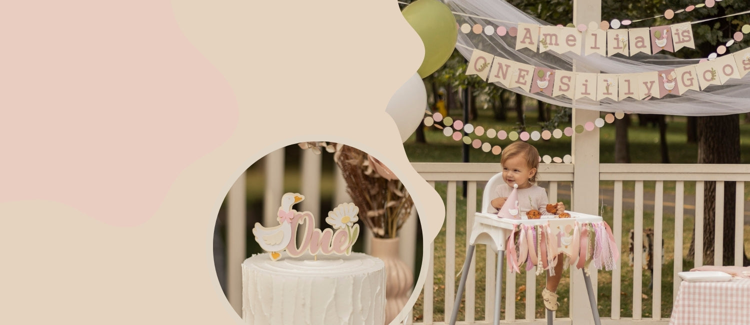 One Silly Goose Birthday Decorations