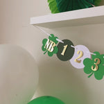 St Patrick's Day 12 Month Banner Our Little Shamrock party  Lucky One First Birthday