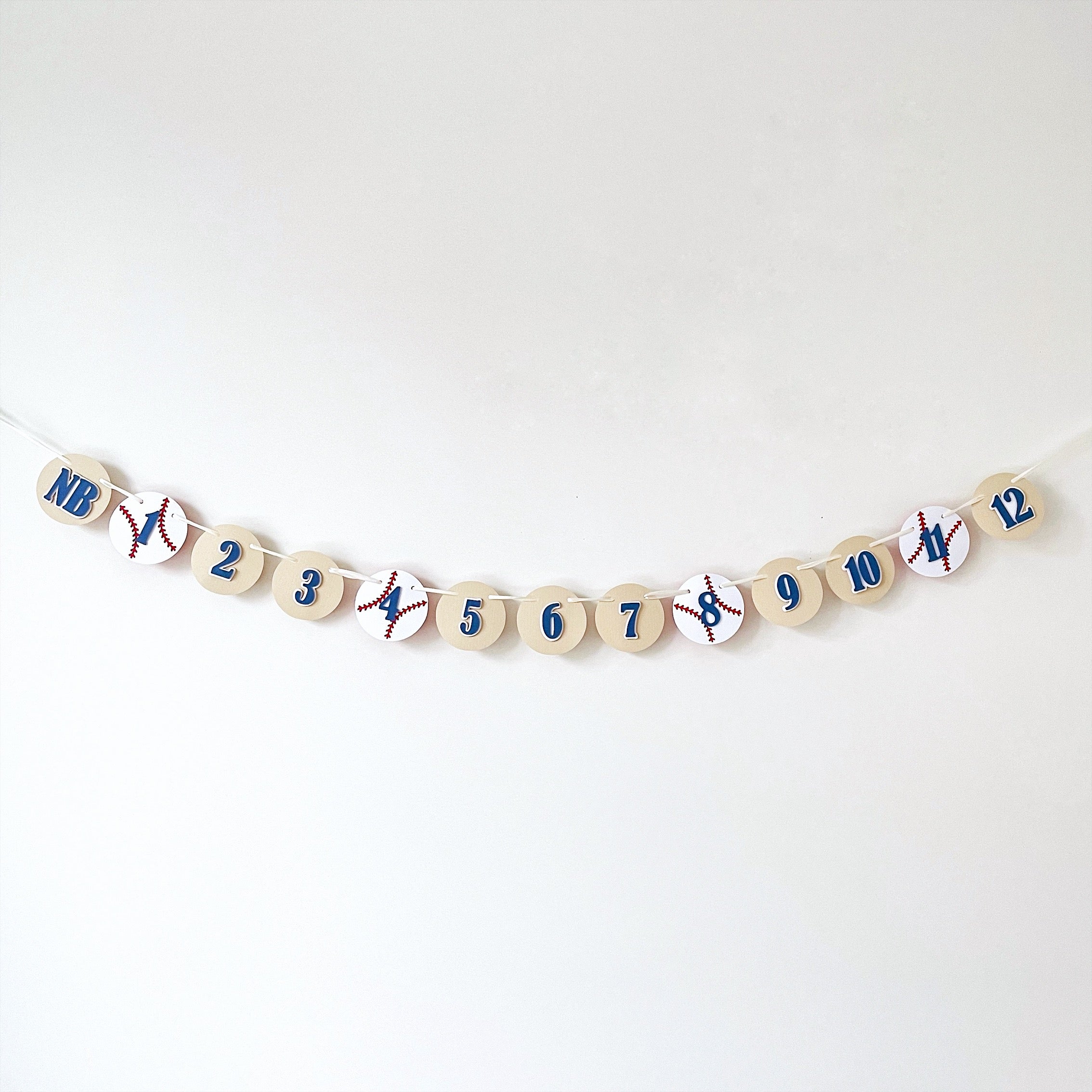 Baseball 12 Month Photo Banner Baseball Birthday Decorations Rookie of the Year themed Baseball Sports Party