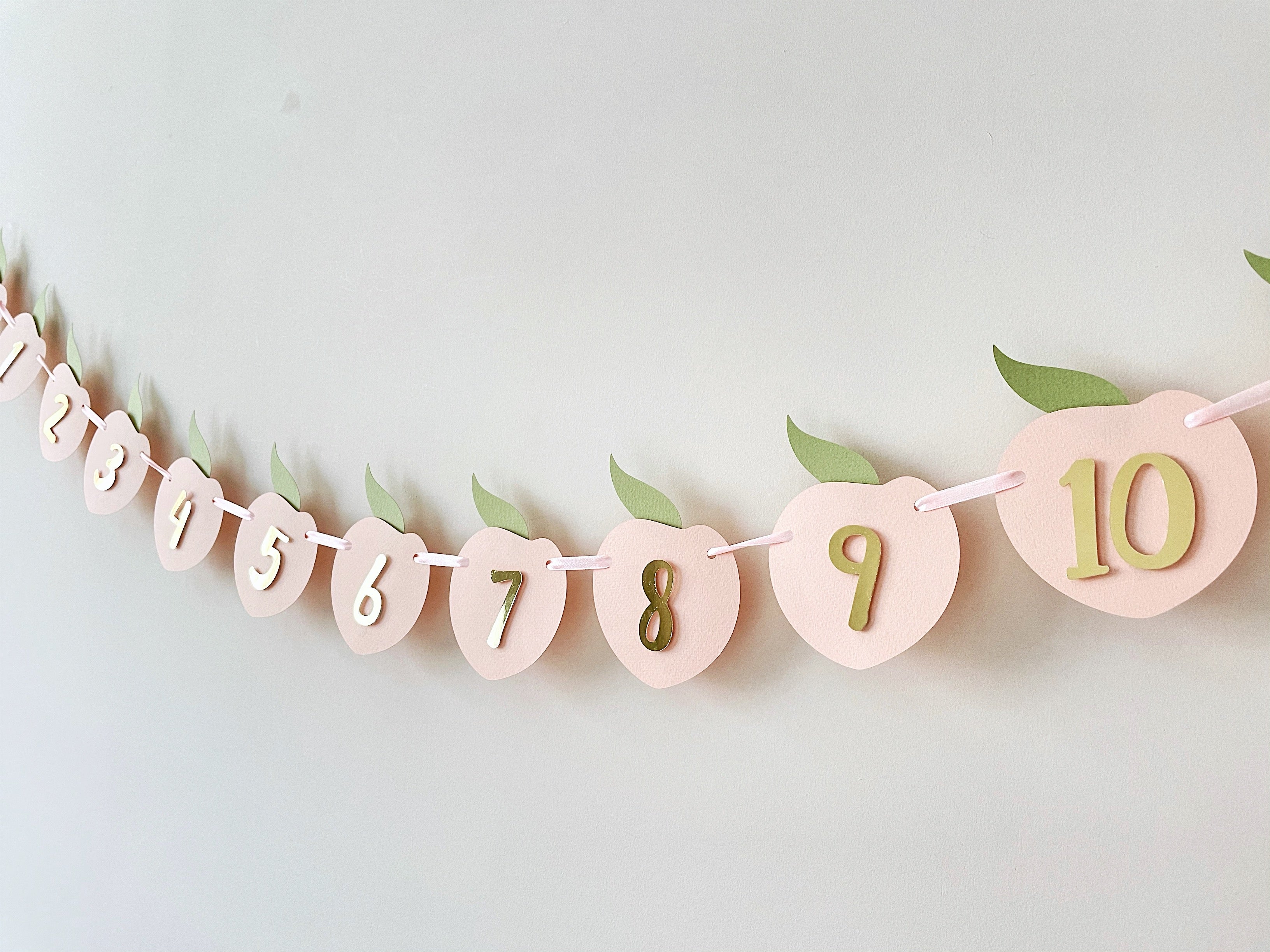 Peach 12 Month Photo Banner Sweet as a Peach Photo Banner Peach themed Photo Banner Fruit 12 month photo banner Summer Birthday Part