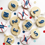 Baseball 12 Month Photo Banner Baseball Birthday Decorations Rookie of the Year themed Baseball Sports Party