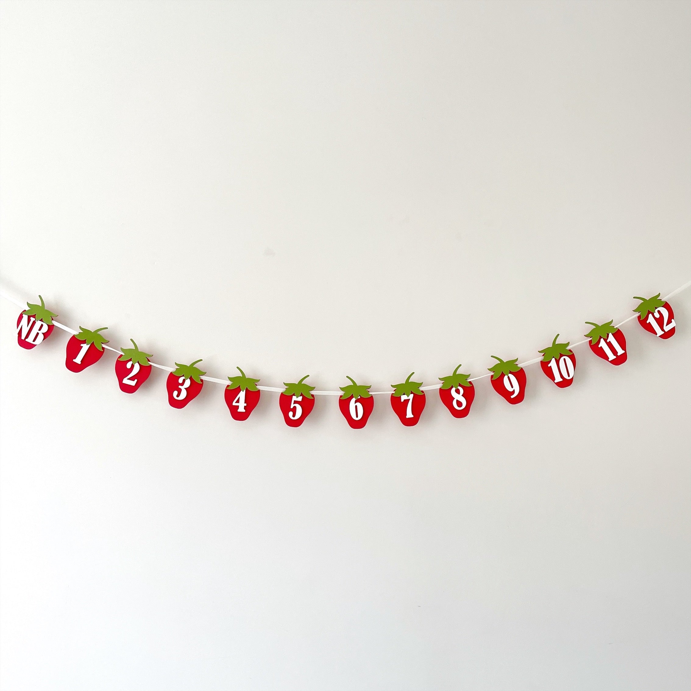 Strawberry 12 Month Photo Banner Berry First Birthday Party Decorations Berry Sweet One First Birthday Milestone Banner 1 Year Birthday