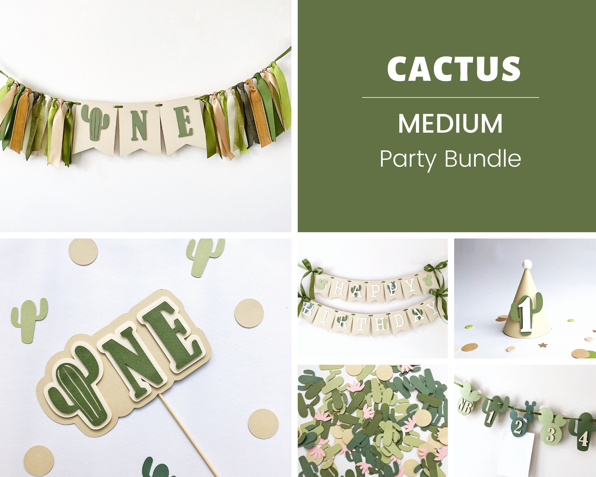 Cactus 1st Birthday Party Bundle