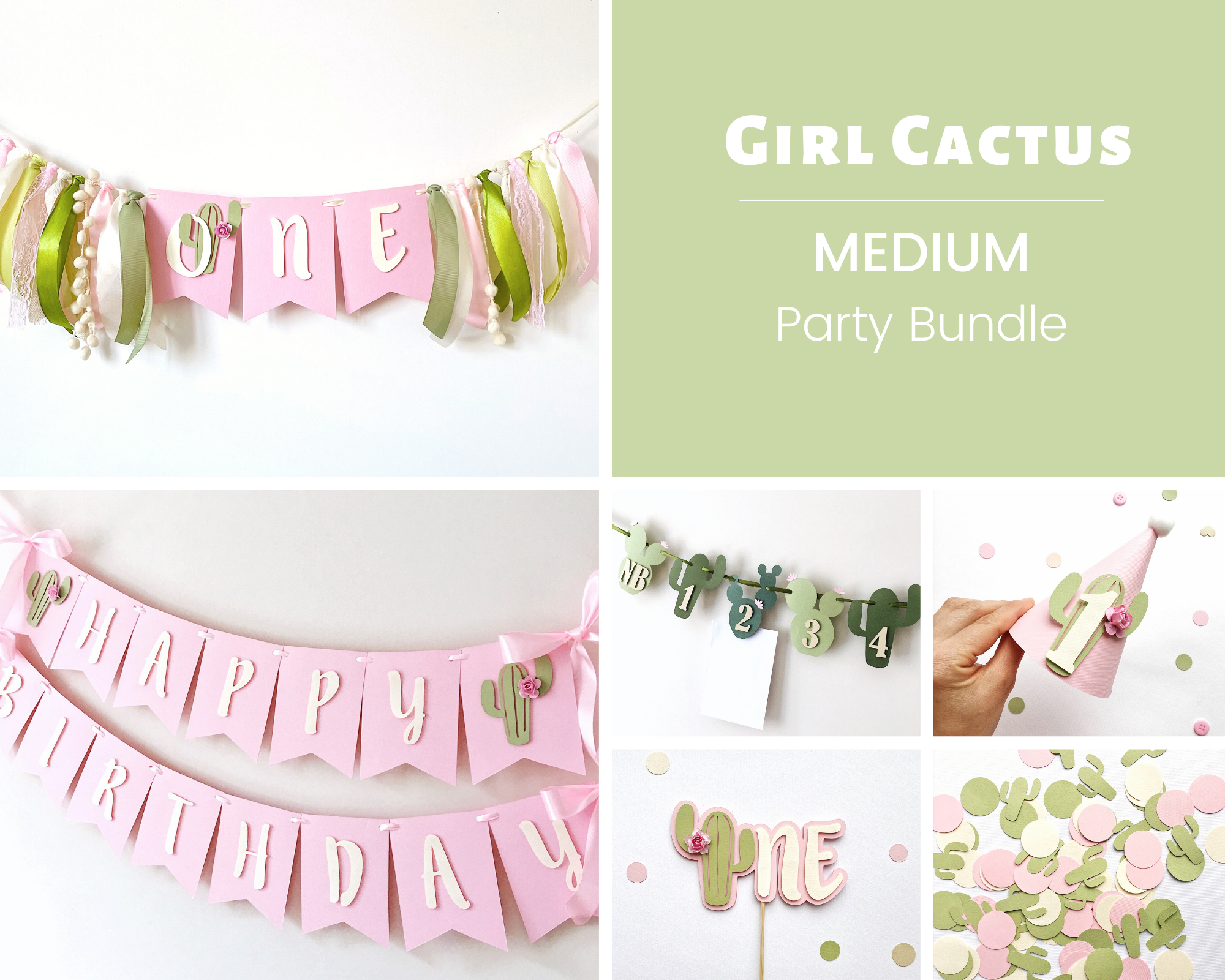 Cactus Girl 1st Birthday Party Bundle One Prickly Pair Party First Fiesta Birthday Decorations Twins First Birthday Uno Birthday Party