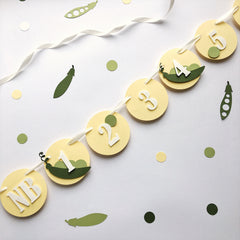 Pea 12 Month Photo Banner Little Sweet Pea in a Pod Birthday Sweet Pea 1st Birthday, Twins Two Peas in a Pod or Ha-pea Birthday