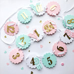 Boho 12 Month Photo Banner Boho Tribal Girl 1st Birthday Decorations First Year Photo Banner 1st Year Girl Monthly Photo Banner