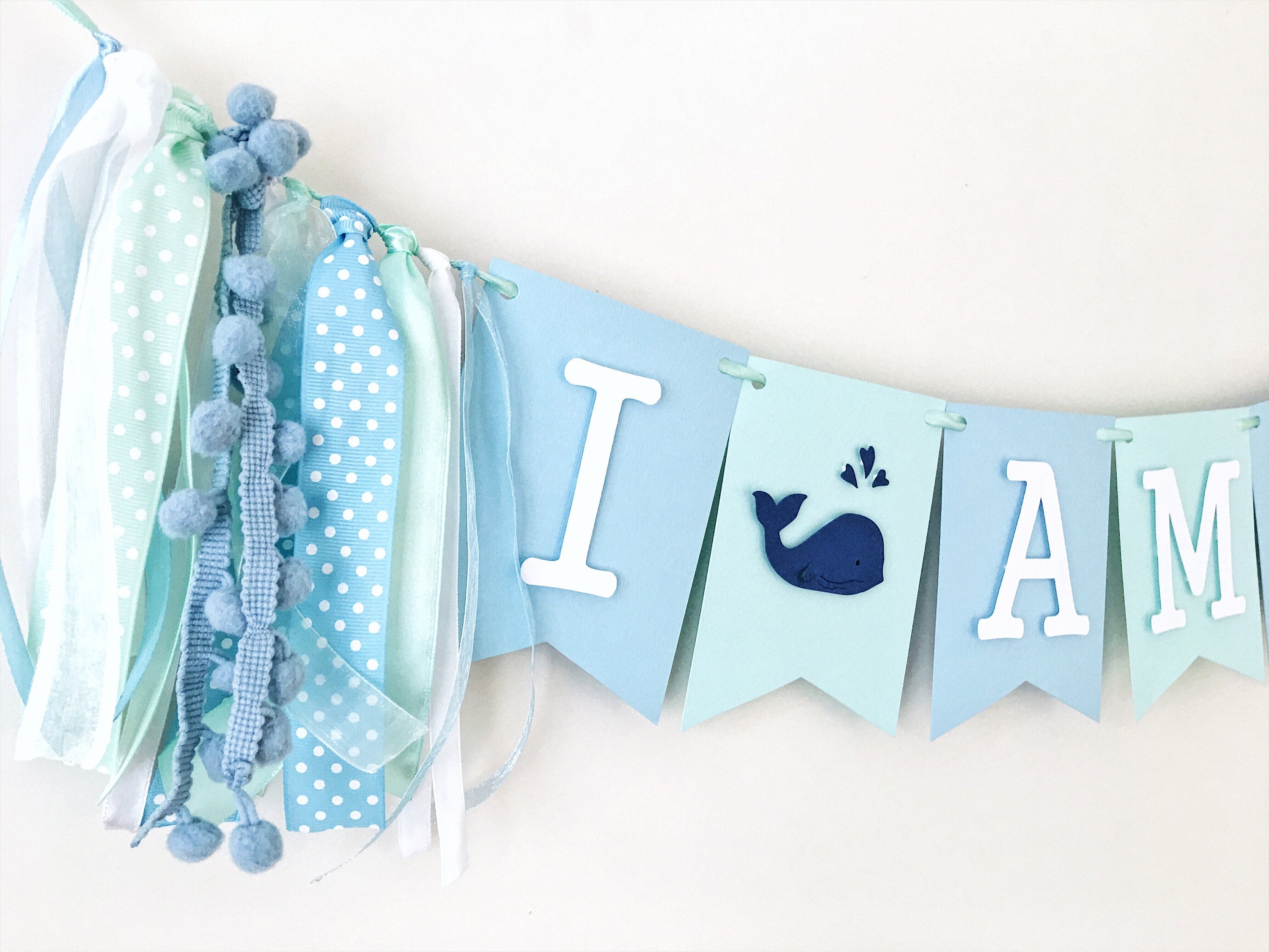 Whale 1st Birthday Banner Ocean Theme Party Decorations Nautical Boy First Birthday I am One Banner