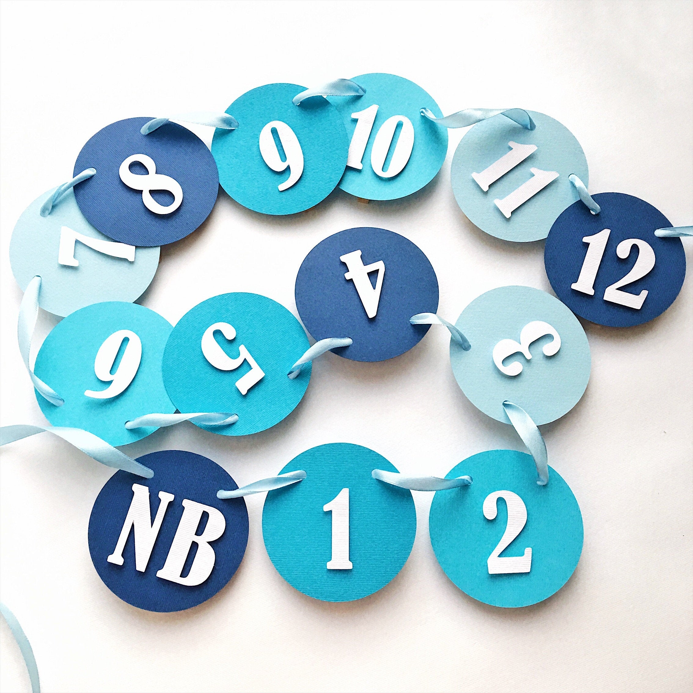 Blue Ombre 12 Month Photo Banner Blue Boy 1st Birthday Decorations Monthly Photo Banner