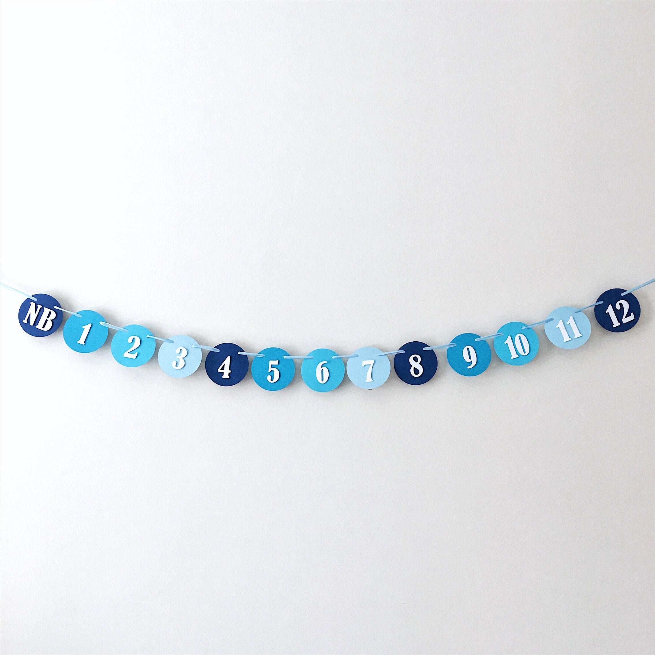 Blue Ombre 12 Month Photo Banner Blue Boy 1st Birthday Decorations Monthly Photo Banner